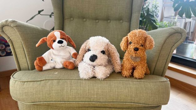 Die besten Hunde-Kuscheltiere - © Barbara Gaisböck - wunschkind-community.de